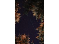 밤하늘 별자리 관측 이미지