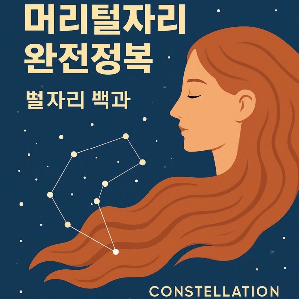 머리털자리 이미지
